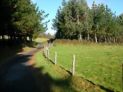 DSCN9054 DSCN9054