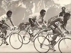 GIRO 1982.HINAULT-CONTINI-VAN IMPE.