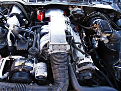 P3220577 P3220577