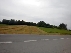 DSCN6558 DSCN6558