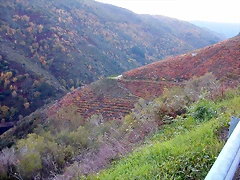 DSCN6562 DSCN6562