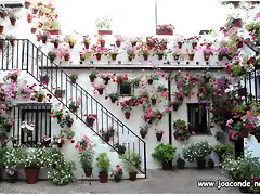 ¡JARDINES!