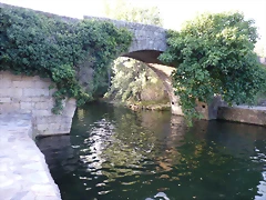 P1070309 P1070309