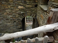 DSCN3499 DSCN3499