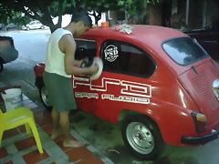 FITO 11