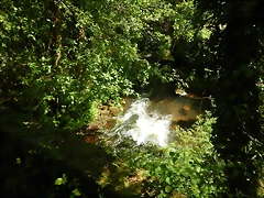 DSCN2363 DSCN2363