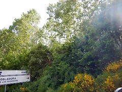DSCN1014 DSCN1014
