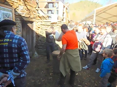 DSCN0231'8 DSCN0231'8