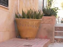 cocio para agua cocio para agua