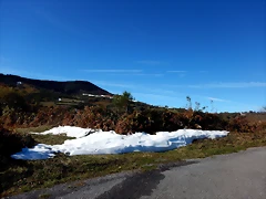 DSCN0254