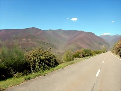 DSCN9451 DSCN9451