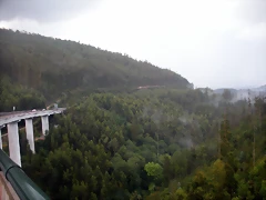 DSCN8493 DSCN8493