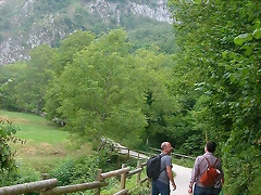 DSCN3730 DSCN3730