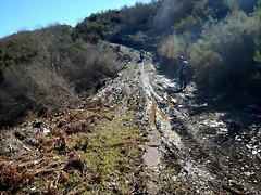 DSCN2564 DSCN2564