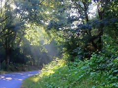 03-IMG_2343