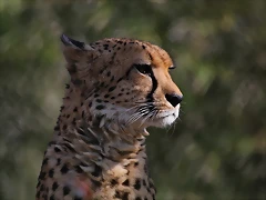 Zoo de Barcelona 26-02-12 051 Zoo de Barcelona 26-02-12 051