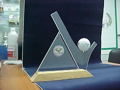 premios base madera (30)