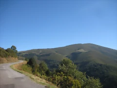 IMG_1051 IMG_1051