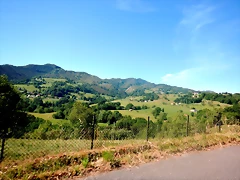 DSCN2908 DSCN2908