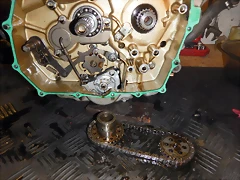DSCN1482 DSCN1482