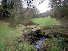 DSCN3002 DSCN3002