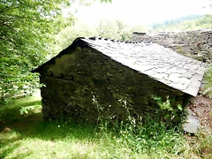DSCN4351 DSCN4351