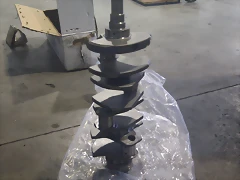 IMAG1550 IMAG1550