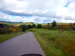 DSCN5211