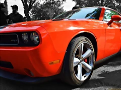 DSC_0751 DSC_0751