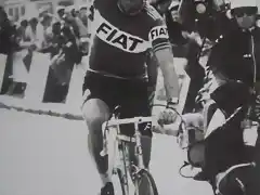 1977-MERCKX-FIAT