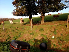 DSCN0543 DSCN0543