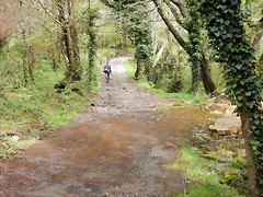 DSCN9203 DSCN9203