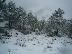 nevada en Riopar