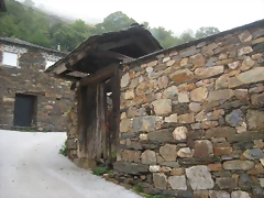 IMG_0398 IMG_0398