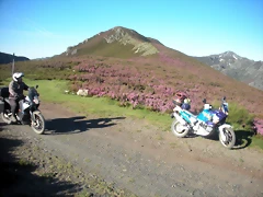 DSCN5261 DSCN5261