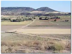 Pista hacia las ruinas de Ercávica