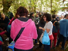 DSCN0201'2 DSCN0201'2