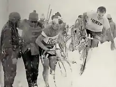 Giro-Stelvio-1965