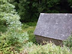 DSCN7466 DSCN7466