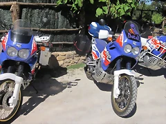 IMG_7051 IMG_7051