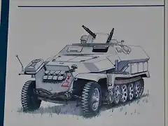 SDKFZ251 039