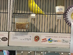IMG_20170122_123347 IMG_20170122_123347