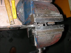 DSCN7286 DSCN7286