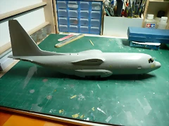 P1080818 P1080818