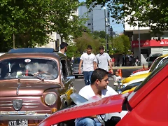P1180884 P1180884