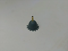 IMAG0081