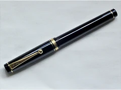 Pilot Custom-1