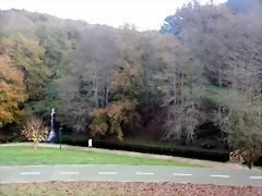 DSCN1787 DSCN1787