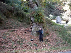 DSCN0077 DSCN0077