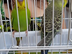 20180629_174043